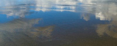 Reflection in a Puddle.jpg