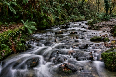 The Trevillet River.jpg