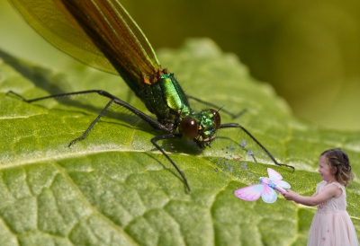 Damsel in Distress.jpg