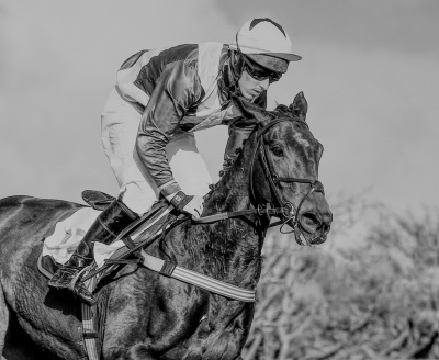 National Hunt Jockey.jpg