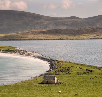 Shetland Landscape.jpg