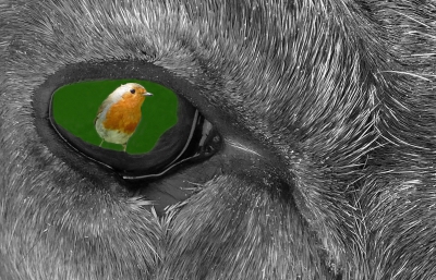 Bird's Eye View 2.jpg