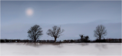 Early Morning Sun.jpg