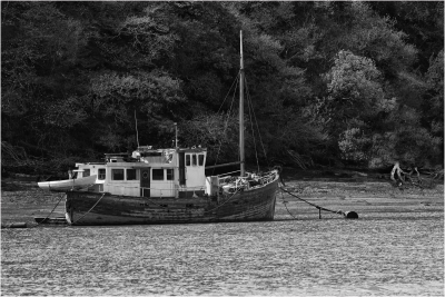 River Dart Victim.jpg
