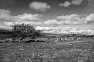 Wind Blown Moors.jpg