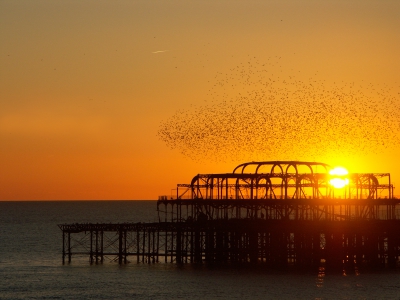 Brighton Sunset 09.jpg