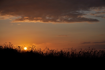 St Ives Sunset 58.jpg