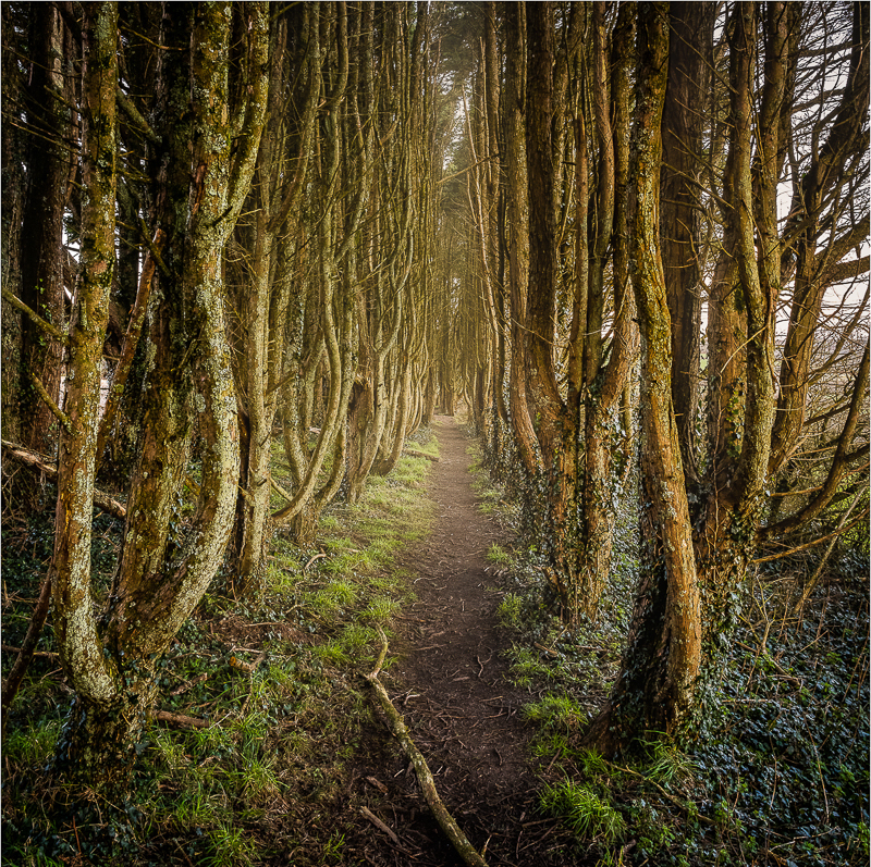 Cornish Landscapes 4.jpg