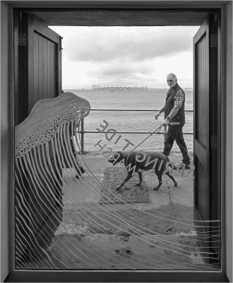 Looking in the Window.jpg