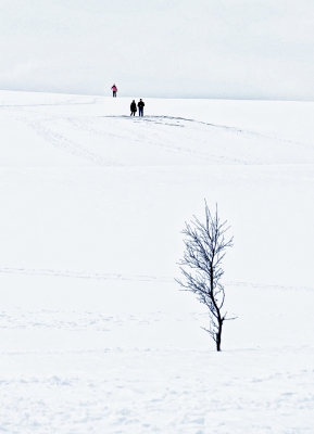 Walk in the Snow.jpg